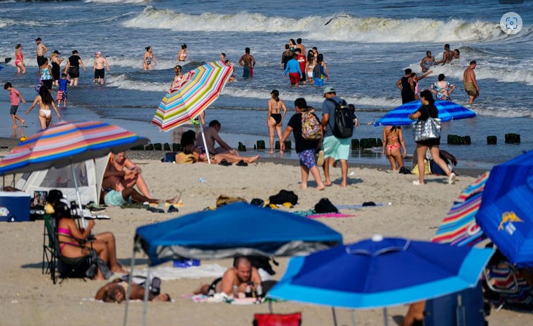 Tiburón muerde a una mujer en una playa de Nueva York