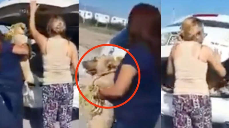 Nuevo León: Vecinos defienden a perrito que sufría maltrato de su dueña