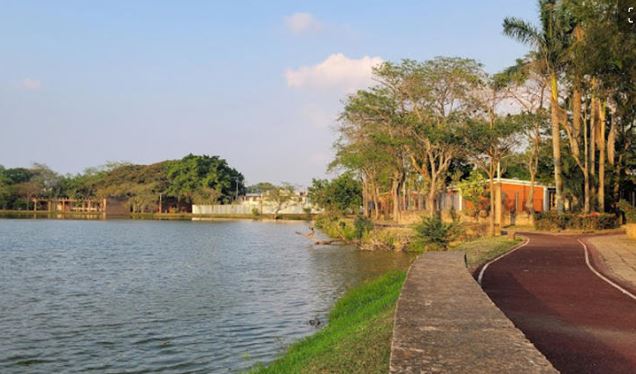 Niño se suicida en parque de Tabasco; lo hallaron colgado de un árbol