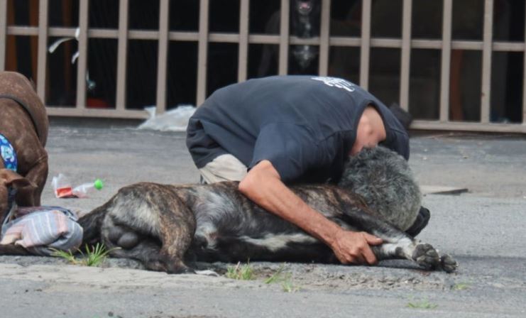 Narra cómo dispararon a su perro cuando éste intentó defenderlo: "Dio la vida por mí"