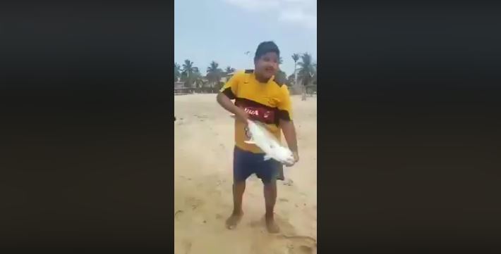 (VIDEO) Momento exacto en que mar de Acapulco arroja peces vivos