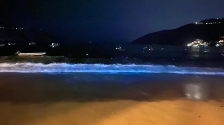 Captan impresionante fenómeno de bioluminiscencia en playas de Acapulco