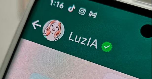 ¿Cómo tener IA desde tu WhatsApp? Agrega a LuzIA, aquí te decimos, es seguro