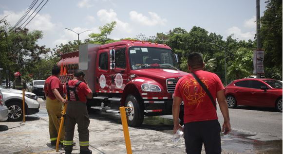 Bomberos recomiendan evitar contacto con las avispas