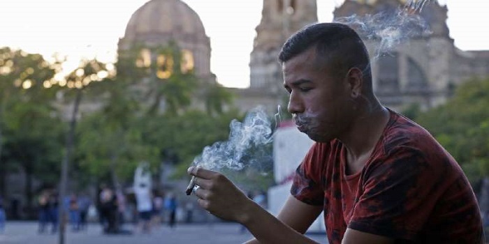 Senado aprueba despenalización de la mariguana en México