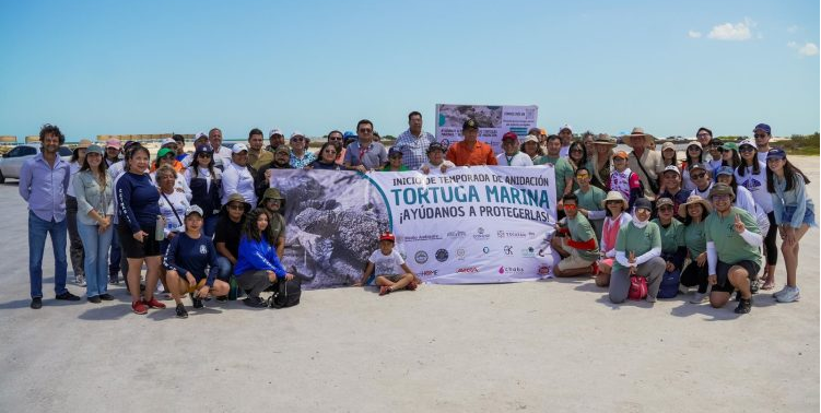 Se unen para cuidar a las tortugas en esta época de anidación