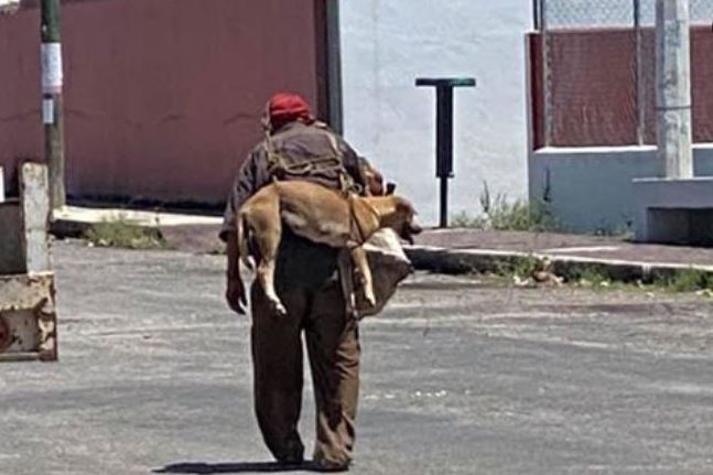 Yucatán: Hombre decide cargar a su perra para evitar que se quemen sus patas