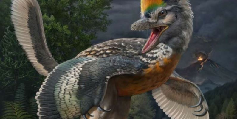 Dinosaurio con patas largas y parecido a un pájaro, cautiva a científicos