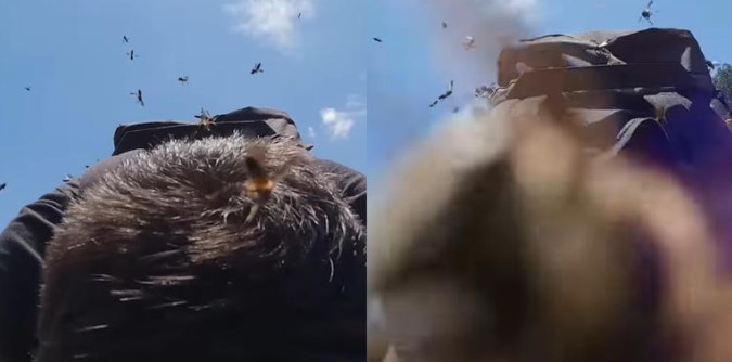 Turistas son atacados por enjambre de abejas