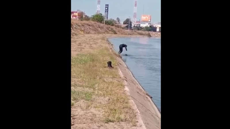 Policía se lanza a canal para rescatar a perrito de morir ahogado