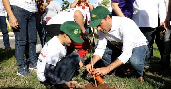 Promotora Residencial y Vila Dosal inician siembra de 3,000 árboles en Mérida - Noticias de Yucatán