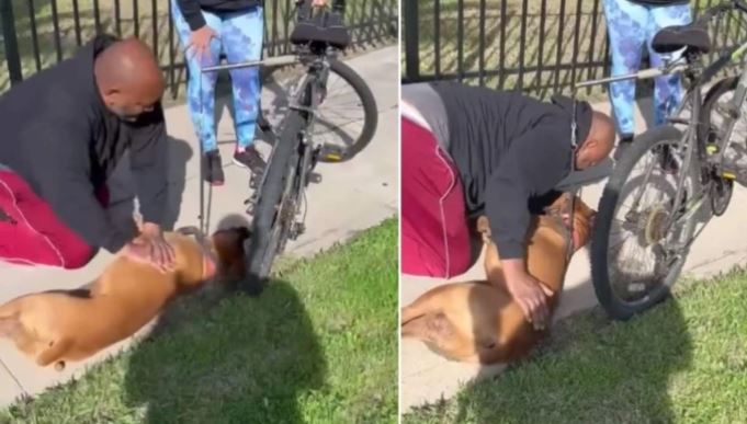 ¡Hay vídeo! Hombre salva a perrito con reanimación cardiopulmonar