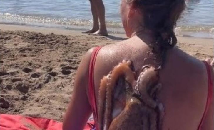 Joven andaba con un pulpo pegado en su espalda