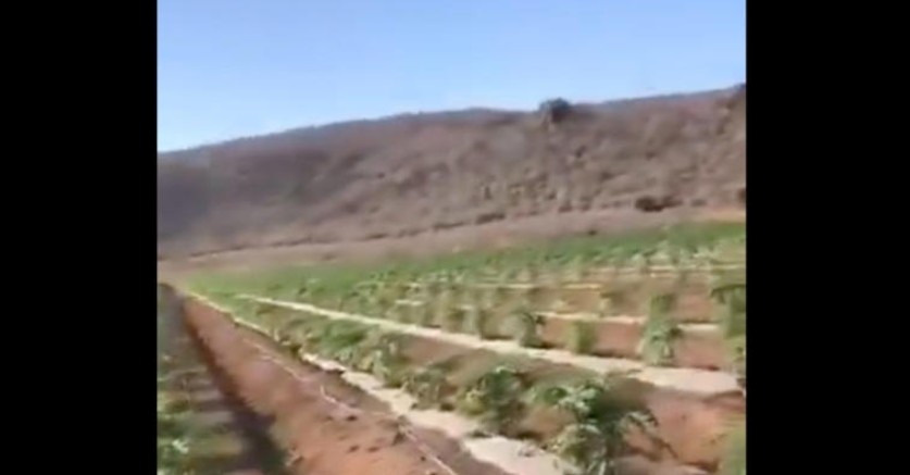 Desalojan escuelas en Michoacán por enfrentamientos
