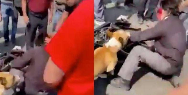 Someten a ladrón en Chimalhuacán, hasta un perro ayudó