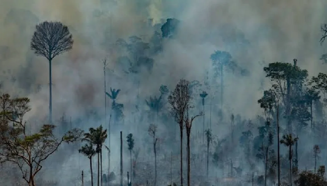 Humo de incendio en Amazonas se propaga a todo Brasil; desata problemas respiratorios