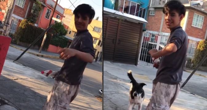 (VÍDEO) Joven se presenta como ángel en la calle: “Soy tu ángel, es tiempo de irnos”