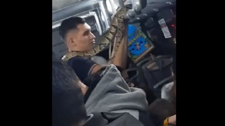Monterrey: Joven decide viajar con serpiente pitón en transporte público