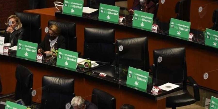 Senado aprueba uso recreativo, médico e industrial  de la mariguana