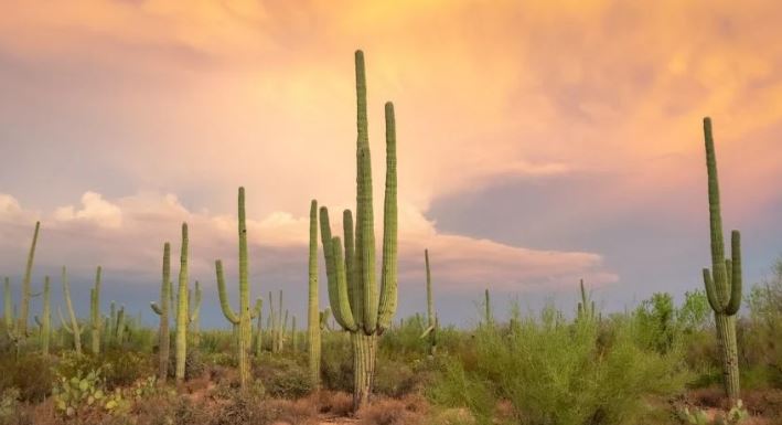 NASA revela los dos lugares más calientes de la tierra... Uno está en México