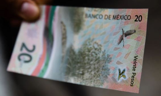 ¿Por qué dejará de circular el nuevo billete de $20?