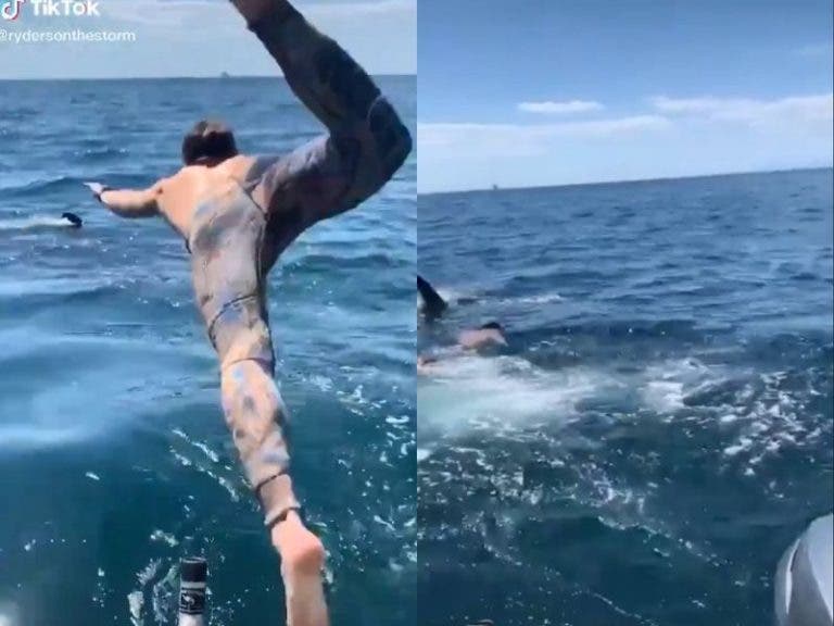 VIDEO: Se lanza a nadar con tiburón y casi se lo devoran