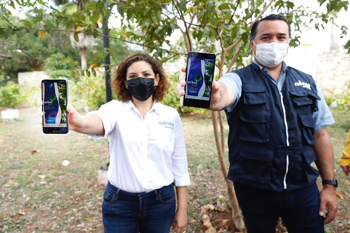Yucatán: ‘ÁrbolMID’ la App que identifica las variedades de árboles