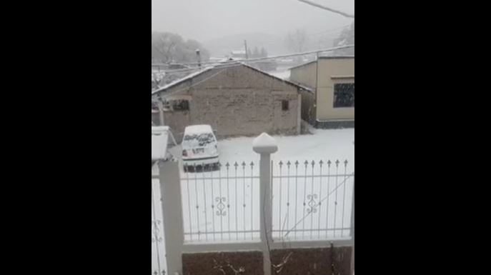 Chihuahua amanece así; con mucha nieve