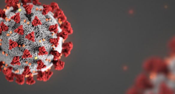 Investigación contra Peña Nieto, un “cortina de humo” para tapar errores ante Covid