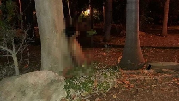 Mérida: Joven se suicida en un árbol de parque de Gran Santa Fe