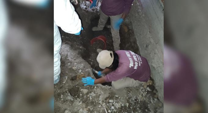 Guanajuato: Colectivo encuentra 26 cuerpos en fosas clandestinas