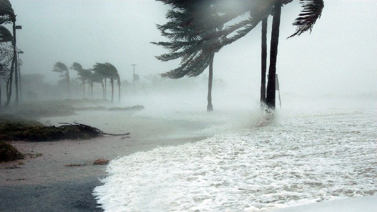 ONU advierte a México: desastres por cambio climático irán en aumento