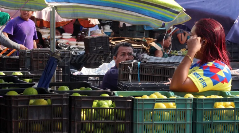 Yucatán: En Semana Santa se desploma el precio del limón