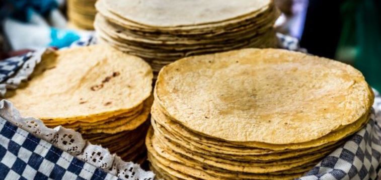 Un mito que la tortilla de maíz engorda: especialista