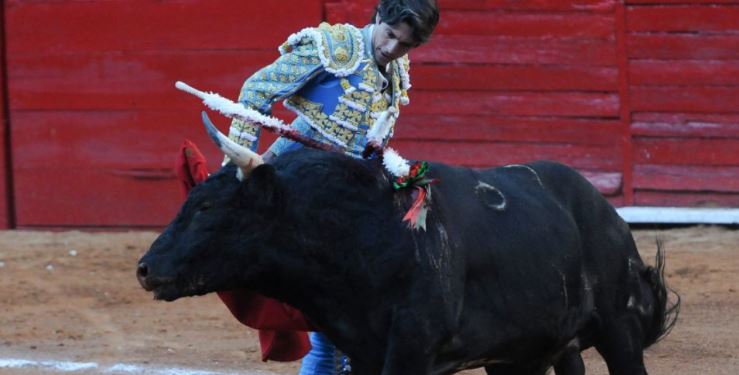 Siempre si dan "luz verde" a las corridas de toros en la Plaza México