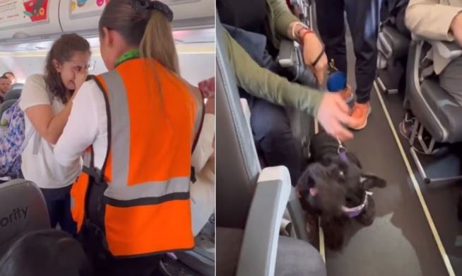 Apoyan a mujer: La iban a bajar de vuelo de Viva Aerobus con perrito de apoyo emocional