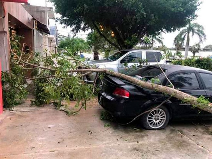 (VIDEO) Así de intensos se escucharon los vientos de  ‘Zeta’ en Tulum