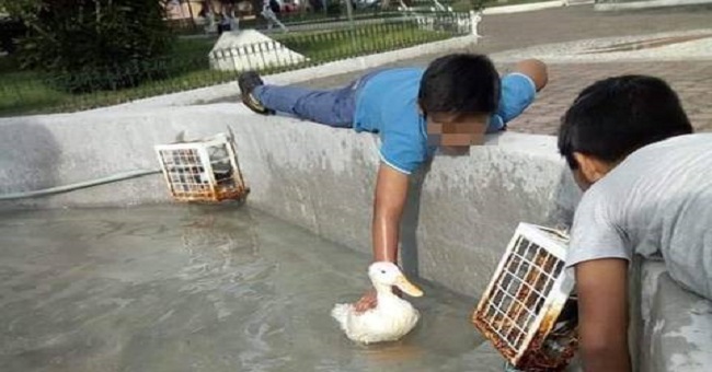 Salen a pasear con su pato a un parque y los acusan de robarse al animal