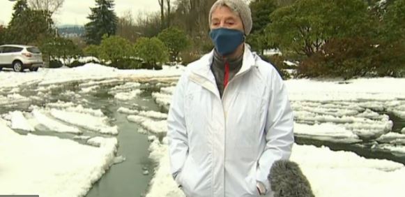 Mujer de 90 años camina 10 km en la nieve para vacunarse