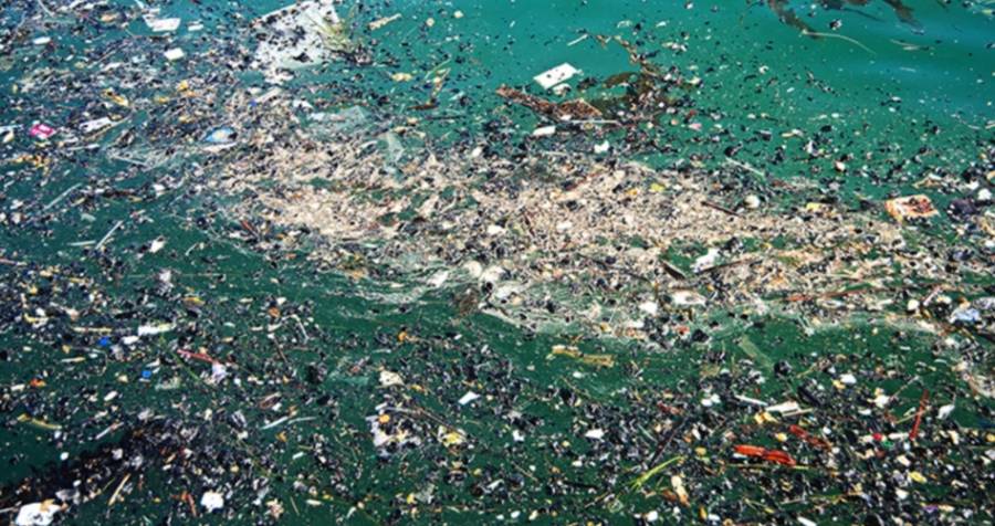 “Isla de basura” amenaza de muerte para la vida marina