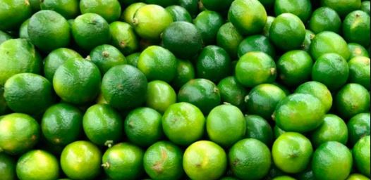 Yucatán: Por la sequía aumenta el precio del limón