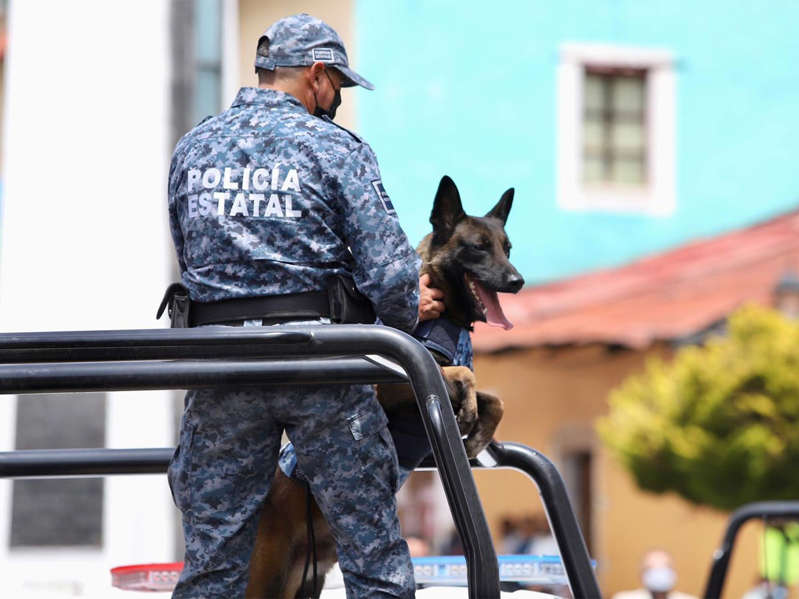 Pedían $1 millón para liberar a secuestrado pero logran rescatarlo