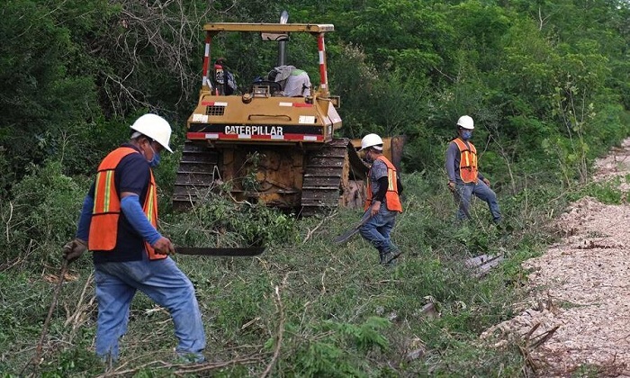 Conceden la suspensión definitiva del Tren Maya en Yucatán