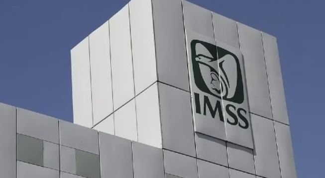 Tarjetón digital IMSS 2023 ¿para qué sirve y cómo lo tramito?