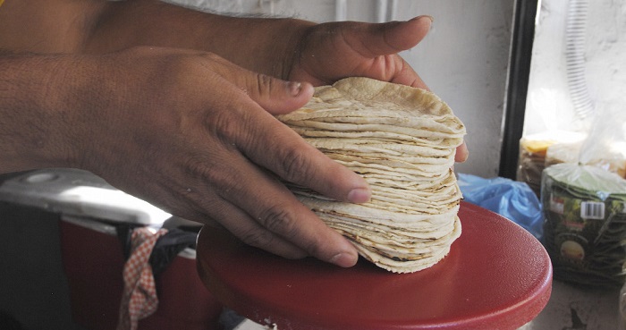 “Los molineros pueden ajustar el precio de la tortilla según sus necesidades”: Casa del Molinero
