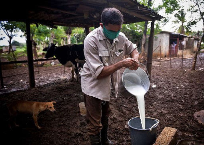 Científicos de EE.UU. logran crear leche sin usar animales