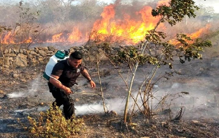 Abuelito de Yucatán muere asfixiado durante la quema de su milpa