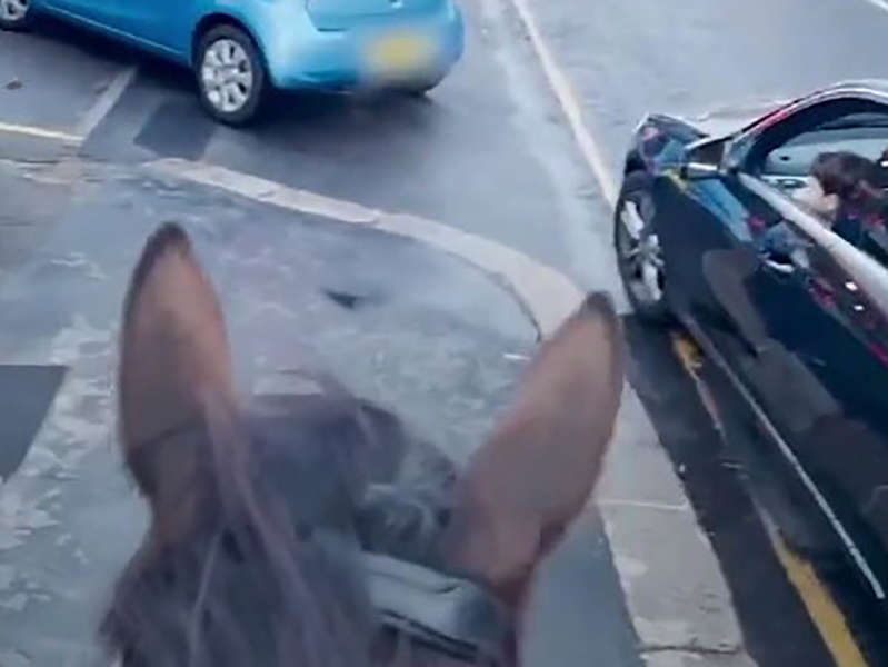 Hombre a caballo canta a conductores en gasolinera de Reino Unido