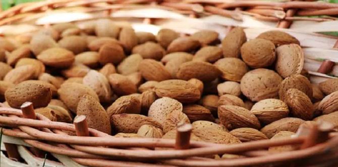 Conoce los beneficios para tu salud si comes almendras ¡Un superalimento!