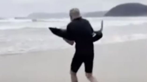 (VÍDEO) Surfista carga un tiburón y lo devuelve al mar
